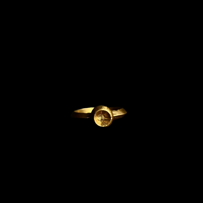 Mộc Vệ Ring