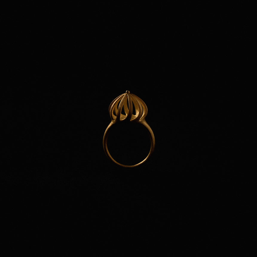 Kén Lộng Gold Ring